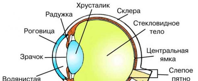 Індивідуальні очні протези: огляд, опис, види та відгуки. Штучне око - найцікавіше в блогах.