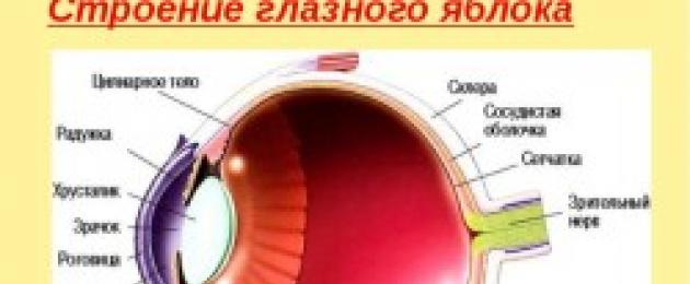 What to do if the eyeball is covered with blood. Red eyes: causes and treatment.