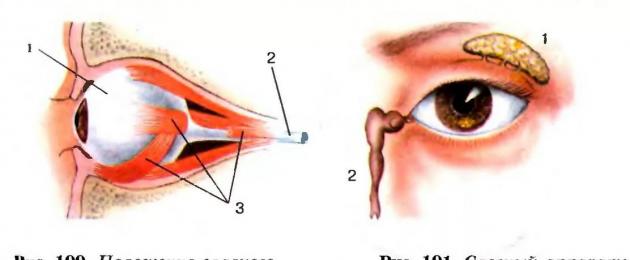 Eyes hurt when you roll up. Likely causes of illness. Injury or foreign body