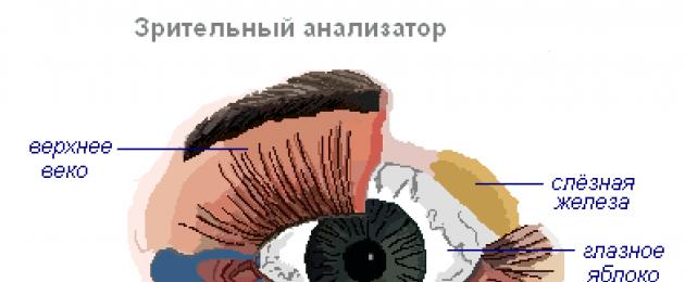 Ochiul este numele părților sale. Visual Analyzer