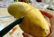 Doğru mango nasıl seçilir: mango sirim nasıl yiyebilirsiniz diye korisni