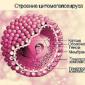 Simptomele citomegalovirusului la oameni și femei