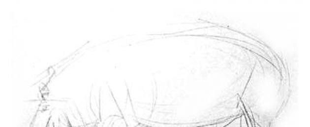 Figura creion hipopotam. Cum de a desena un creion de picioare în etape. Desenați vizualizarea laterală a hipopotamului