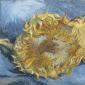 Maľba van Goghových ospalých vrazhennya