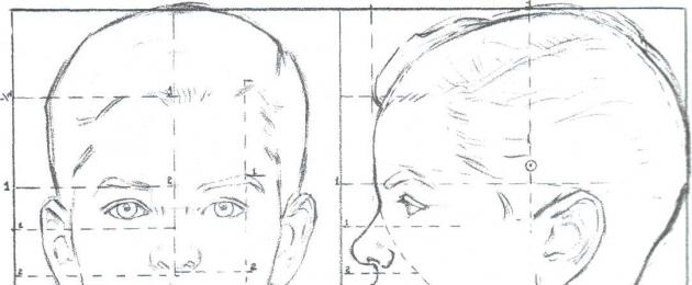 Portret al designului capului unei persoane și proporțiile acestuia.  Subiectul lecției: Designul unui cap uman și proporțiile sale principale.  I. Moment organizatoric